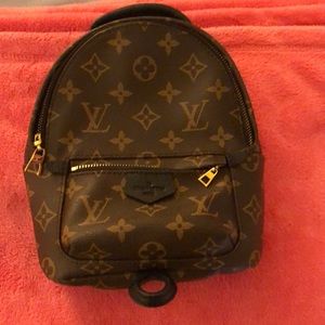 Louis Vuitton small back pack